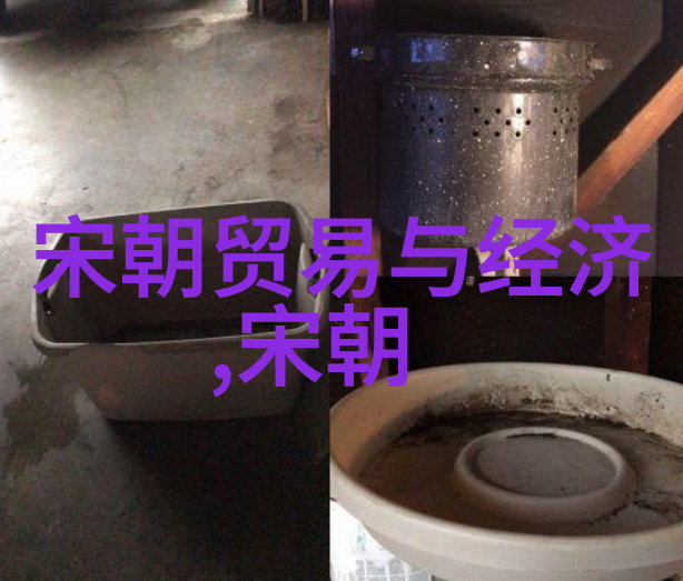 宋朝之光专家们为何热衷赞扬的秘密