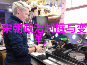 金元盛世的政治革新从分裂到统一