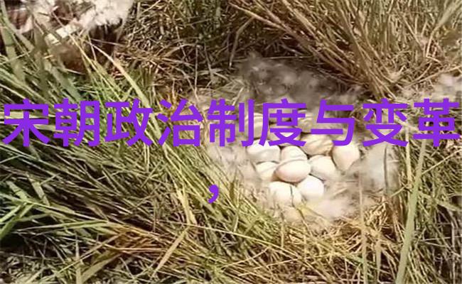 元朝历史最值得借鉴的是什么-辉煌与衰落探索元代治国智慧的永恒价值