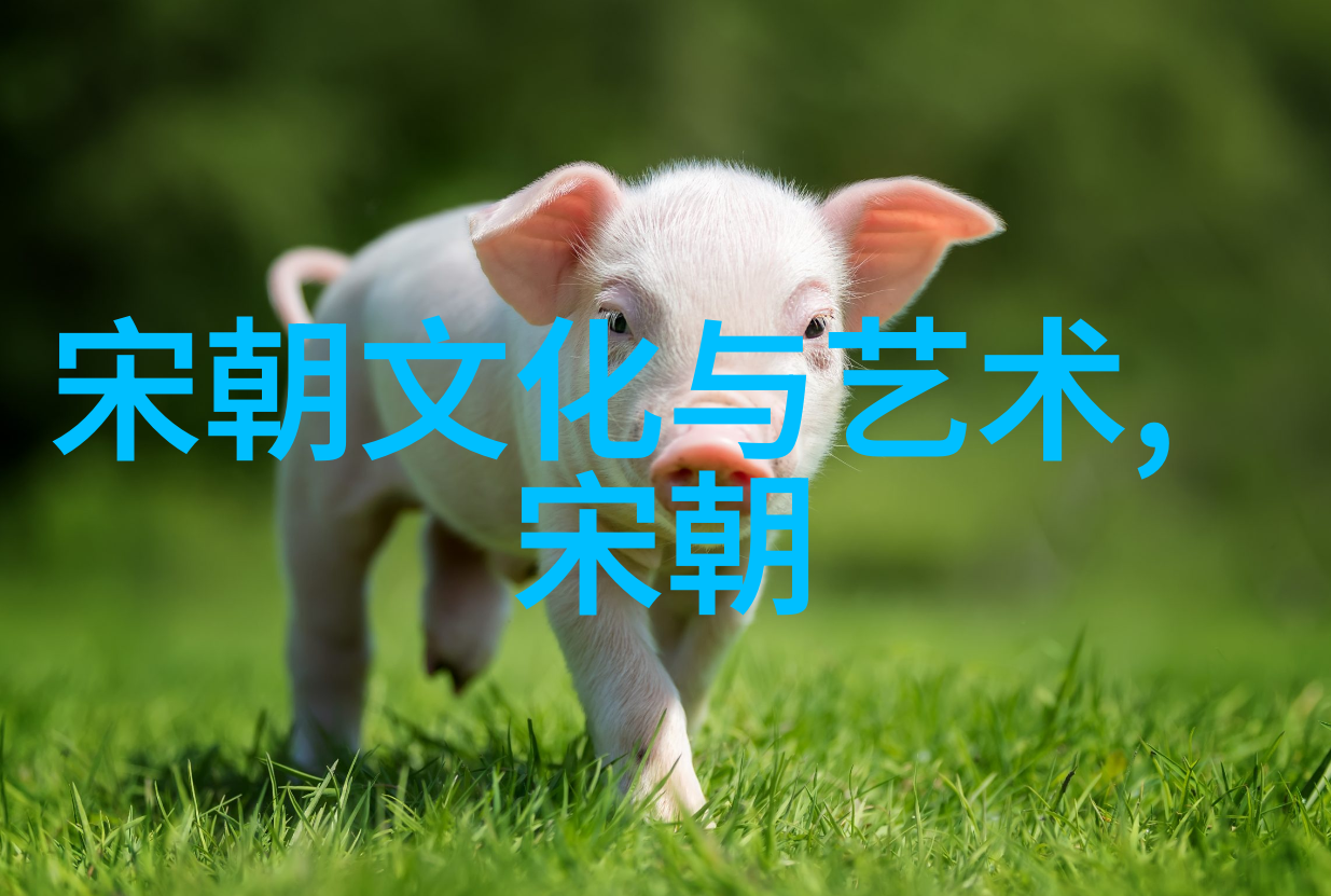 历史上最不该灭亡的朝代重新审视中国古代文明的遗产