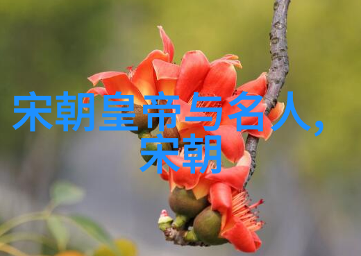 中国体育生GARY飞机XXNN体育生GARY的飞机之旅