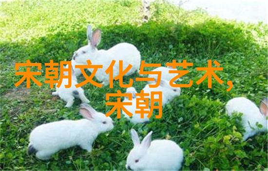 明朝版图辉煌万里长城下的盛世荣耀
