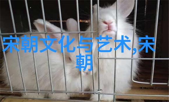 穿越时空的年表明朝各个朝代的起止之谜