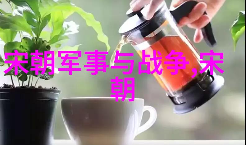元朝的重大历史事件征服辽金至忽必烈登基