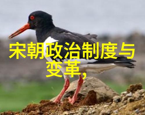 南宋覆灭元朝征服的深层原因历史战略失误与内部腐败