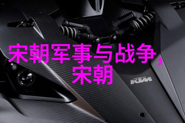 明帝位之争探索明英宗称号的历史依据
