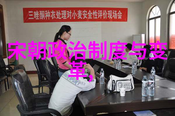 中国明朝一览表我行走在历史的长廊一本通晓明朝要闻的小册子