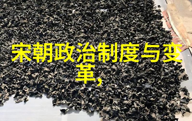 北宋的都城迁移与城市建设