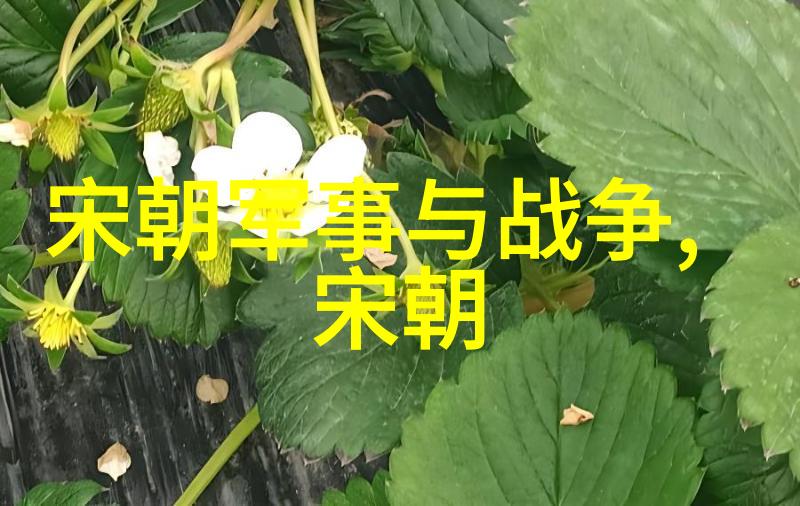 宋元明清四大名著背后的历史文化脉络