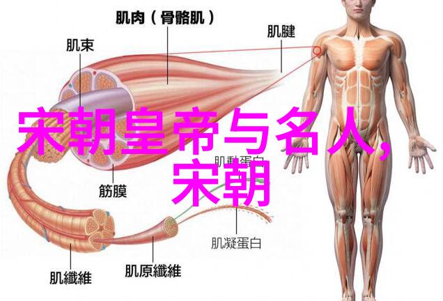 宋朝皇帝与名人的历史纠葛岳飞与秦桧的故事解析