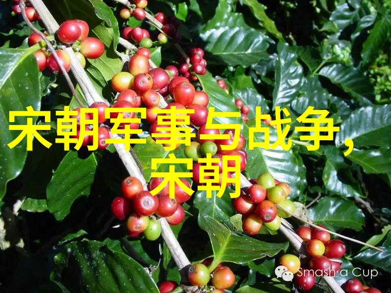 穿越时空重温明朝英宗最不堪的一幕他的无耻王国建立史话