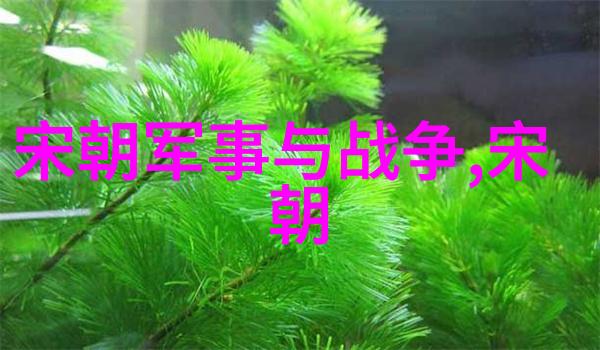 南明灭亡之后还有小朝廷-残响中的江山南明末期的流散政权与抗争遗存
