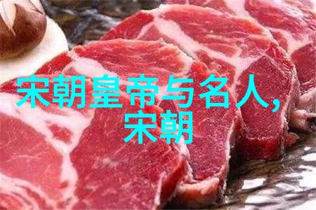 北宋中期的变革从康定和议到王安石变法