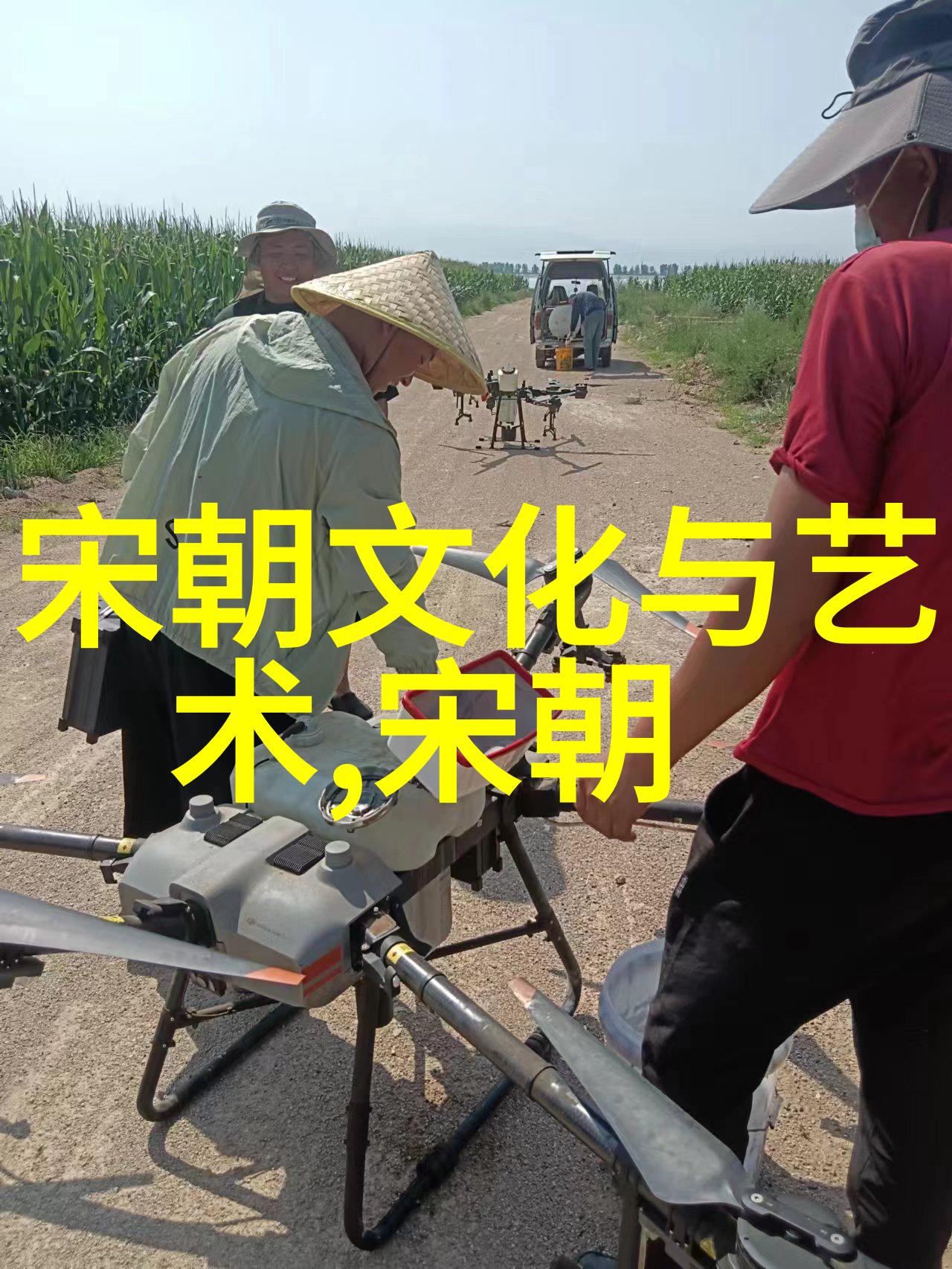 红衣皇帝的铁腕统治朱元璋与建国初年的改革与残酷