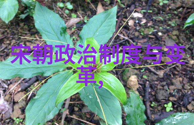 隐世之才显世之光民间艺人的生活是什么样的他们又有何贡献