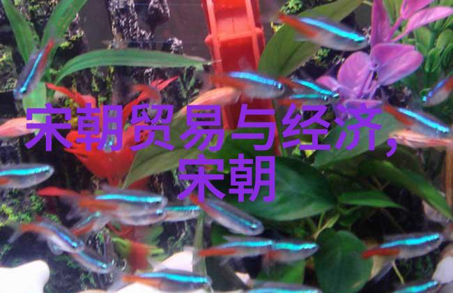 北宋末年金军入侵与政权覆灭简析