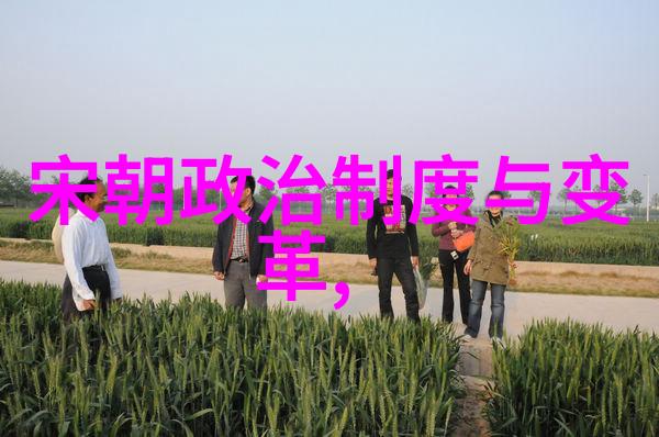 明朝的盛世与衰落一段辉煌历程的简介