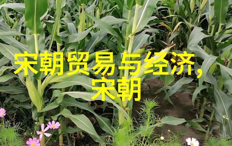 明朝那些事儿时光的回响与历史的沉淀