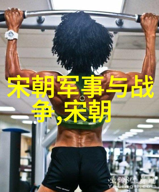 元朝覆灭之谜从辉煌帝国到尘埃深处
